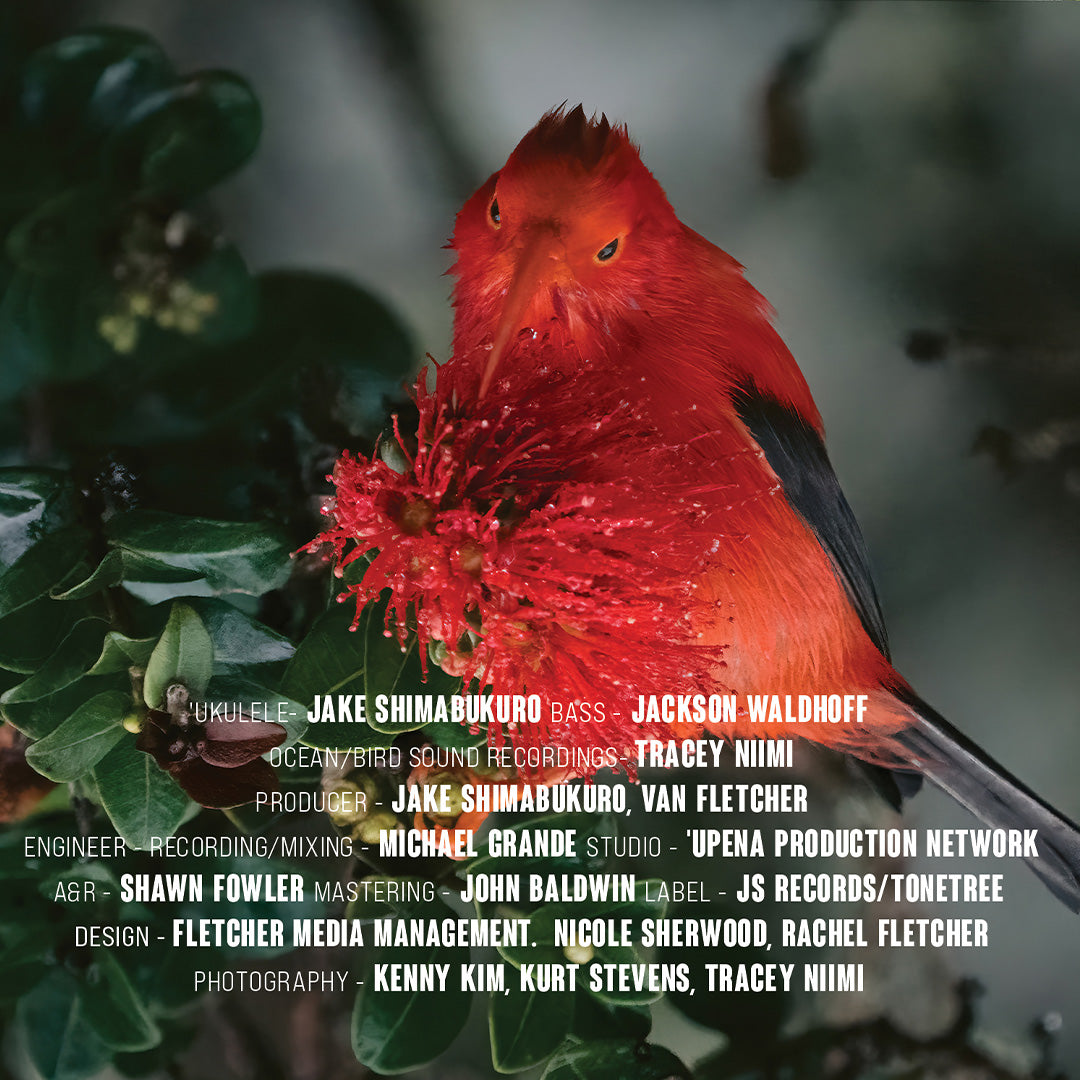 Calm Seas CD - Preorder